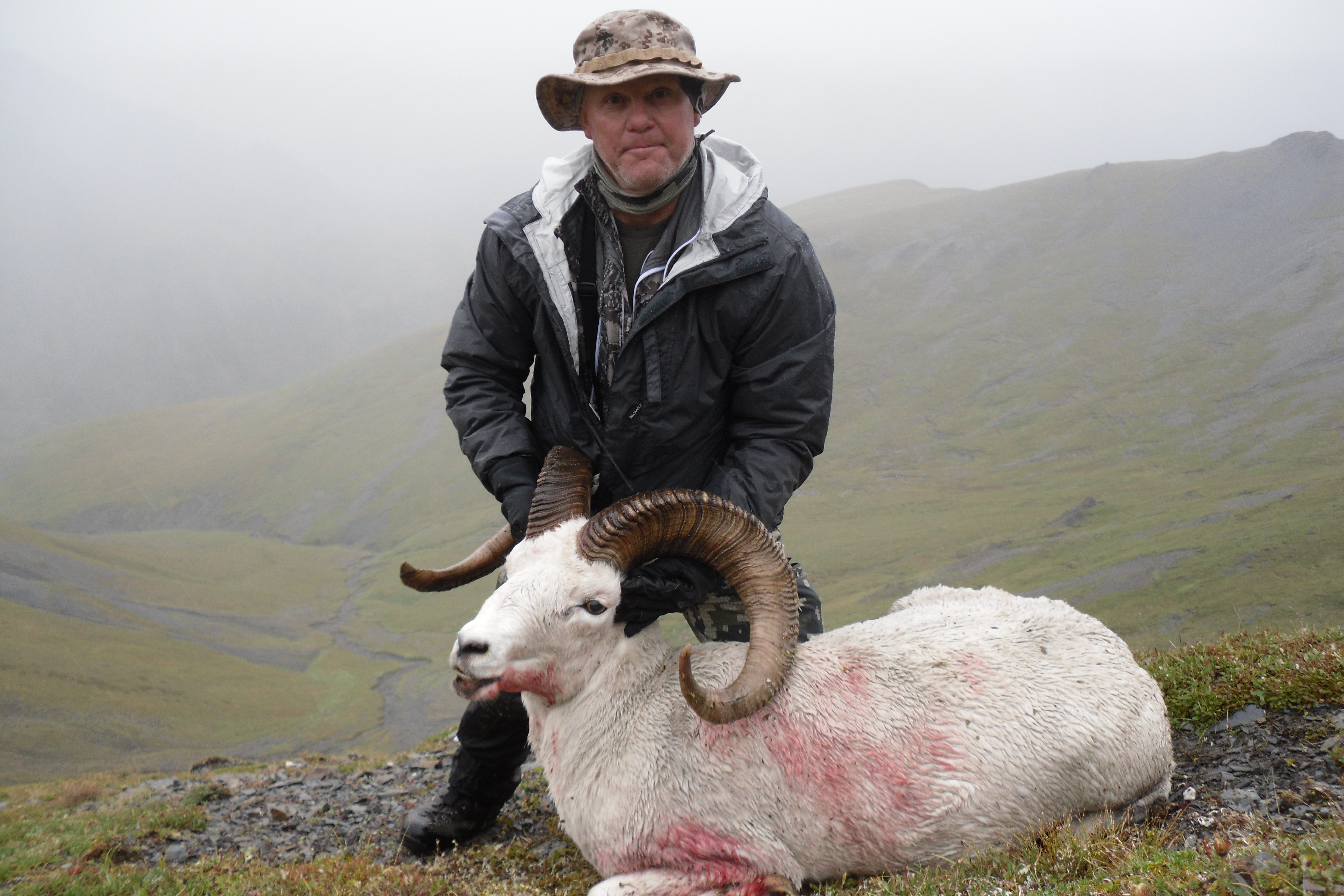 2015 Sheep Hunt